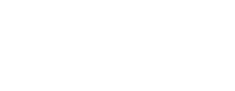 Phirou Logo in weiß - phirou | Agentur für Webdesign und Marketing